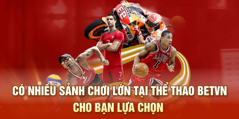 Có nhiều sảnh chơi lớn tại Thể Thao BETVN cho bạn lựa chọn
