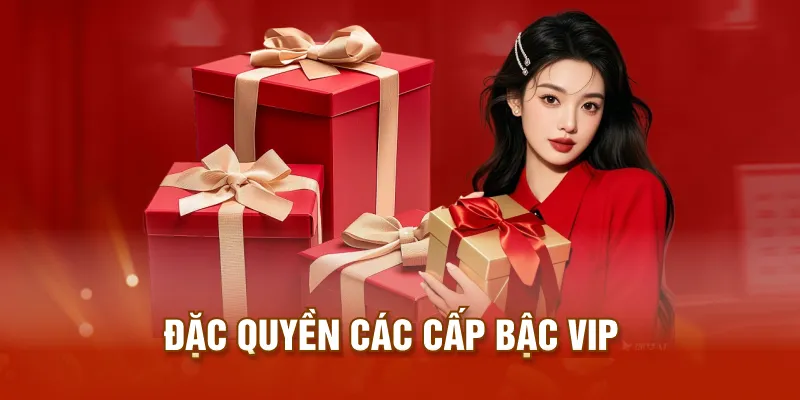 Đặc quyền các cấp bậc VIP