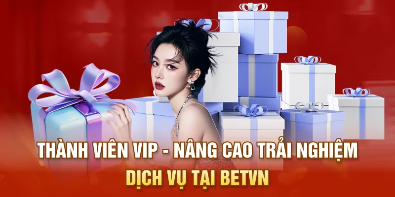 Thành Viên VIP - Nâng Cao Trải Nghiệm Dịch Vụ Tại BETVN